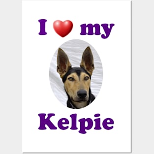 I Love My Kelpie Posters and Art